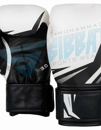 Boxing Gloves